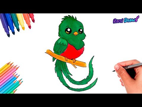 Cómo dibujar un QUETZAL (Ave nacional de Guatemala) adorable - dibujos fáciles