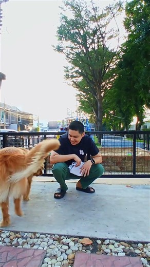 Destiny ของฉันคือ "น้องมีตัง"หมาอมก้อนหินที่น่ารัดมากกก..555