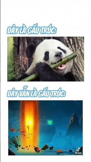 #meme#memes#funny#xh#panda#kungfupanda