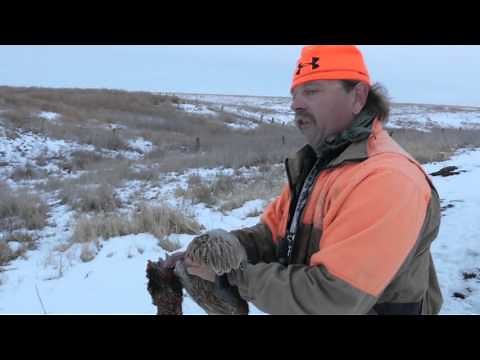 How to Clean a Whole Pheasant