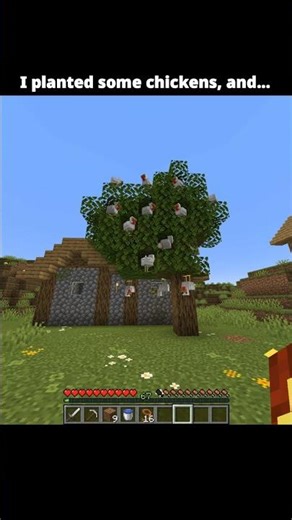 Minecraft, But I Grew a "Chicken Tree" in the Ground! 🐔🌱