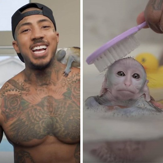 2.8M views · 415 reactions | This pet monkey lives the life I could only dream of!  | Bad Parenting Moments | Facebook