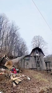 15K views · 96 reactions | Did you know that logging is one of the most dangerous jobs in America, where gravity, physics and math collide. Sometimes those equations are wrong. #logger #vetradiosyndicate #army #navy #airforce #marines #Dangerous #OSHAcompliance #osha #gravity #physics #gravity #chainsaw #treeservice #trees #wood | Vet Radio Syndicate | Facebook