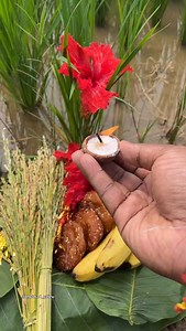 159K views · 53K reactions | Nuakhai Aran puja/paddy worship Rituals...