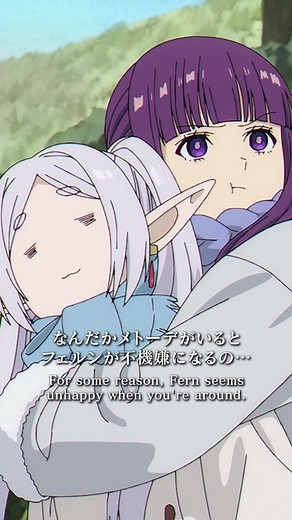 葬送のフリーレン：フェルンとメトーデの関係
