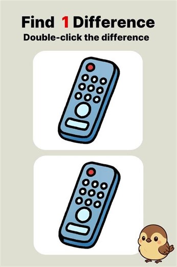 Spot the Difference:Remote control