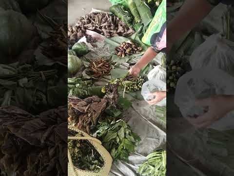 Wednesday Bazaar 25 march 2026