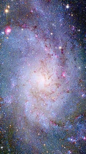 M33 Triangulum Galaxy 2.878 million light-years away #fyp #foryoupage #goodvibes #god #astrophotography