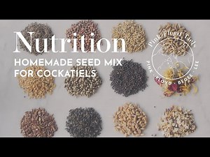 BIRD NUTRITION: Homemade cockatiel seed mix