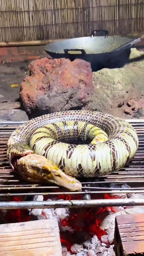 Delicious Roast Snake Recipe | Cooking Food Tutorial