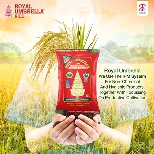 50K views · 50 reactions | Royal Umbrella We use the IPM system for...