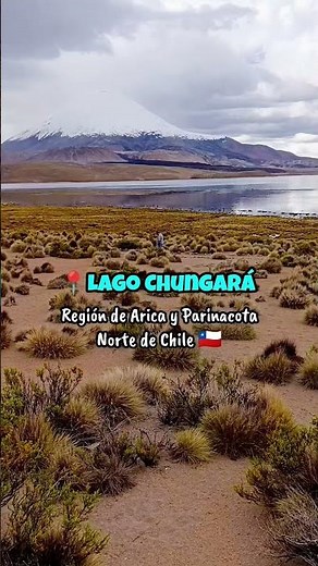 La magia del lago Chungará, Arica y Parinacota 🇨🇱