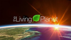 The changing colors of our living planet - NASA Science