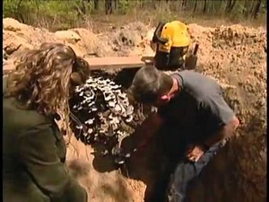 Ant Hill Architecture : Ants are the best designer