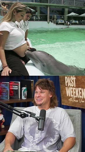 Dolphin Assisted Birth Myths Debunked