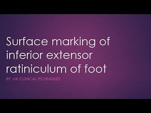 Inferior extensor retinaculum of foot|| surface marking of inferior extensor retinaculum of foot