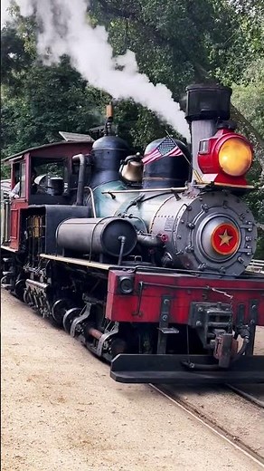 Shay gears churning on this steam train with its brass bell swinging, mesmerizing the crowd!