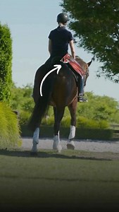 They affect far more than you realise in the saddle. Hamstrings play a huge role in how your pelvis sits, how your hips move, and how easily your seat can follow your horse. When they’re tight or restricted, you might notice: • difficulty sitting deep • a tipped or braced pelvis • tension through your lower back • legs that want to grip instead of drape • tendency for chair sit or tipping back That’s why how you stretch them matters. Dynamic work — like moving between hamstring and hip flexor le