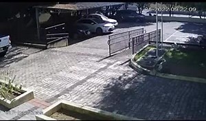 Kid Violently Attacked By Chow Chow Dog