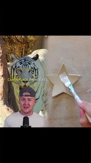 This Down Syndrome Tiger is NOT As it Seems 🥺