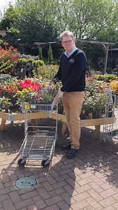 26K views | Three great offers on garden plants this spring at British Garden Centres. Let us make up a beautiful selection for you and we'll deliver it during lockdown. Incredible value and lovely plants! Please share!!! | Brigg Garden Centre | Facebook