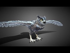 Realistic Owl 3D Model | + Free Demo