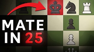 The beauty of Chess Puzzles