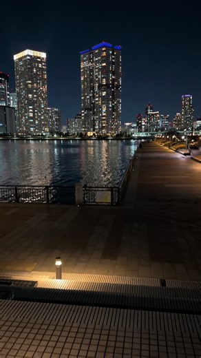 豊洲の夜景ってすごい気持ちが落ち着くというか癒されるというか、なんとも言い表せないような不思議な気持ちになった #豊洲 #夜景 #東京
