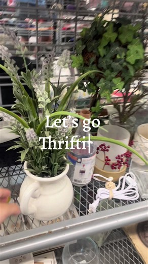 Thrifting Treasures: What Will We Find Today?