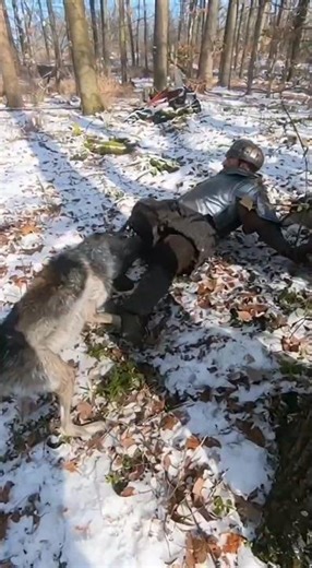 A man fights off two wolves and miraculously escapes them.##