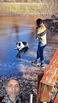 10 Amazing Animals That Imitate Humans! 😱