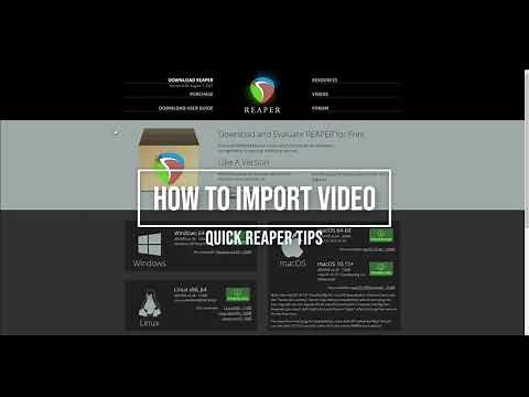 How to fix Reaper errors when importing video