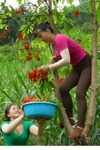 Essential Tips for Successful Harvesting Techniques