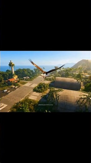 zoom ultra modem with rim of FF