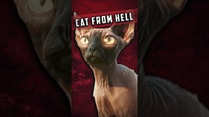 The Cat in Cyberpunk 2077 is from Hell
