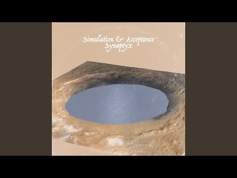 Simulation & Acceptance