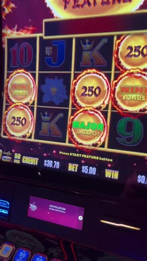 That was Fun! Nice win for the bet! 😃🙌 #slothopper #major #slothopperchic #getrdone