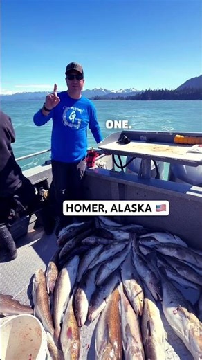 WE CAUGHT 40 PACIFIC COD IN ALASKA 🎣