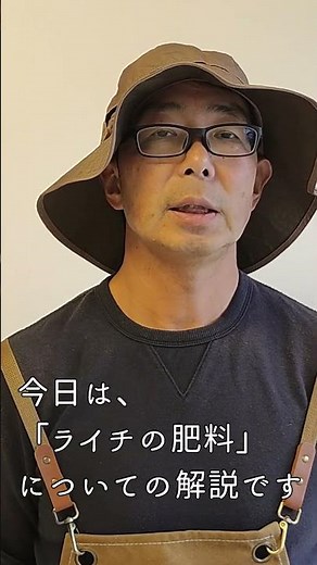 【ライチの育て方】（１年苗木の肥料編）＃４ 自宅で育てる高級フルーツ。１年・2年苗木の肥料について解説いたします。種類や頻度も説明します！肥料は少なく、回数で対応しましょう！