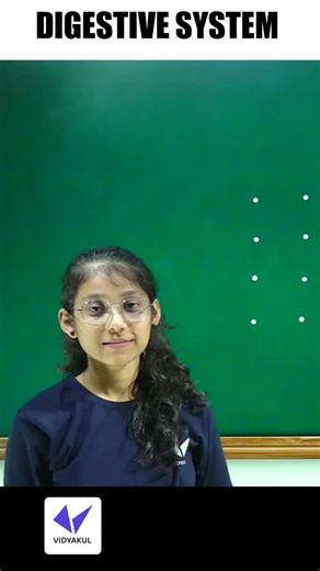 Youth vidyakul on Instagram: "Digestive system Diagram #vidyakulgujarati #science #viralshorts #viralreels"