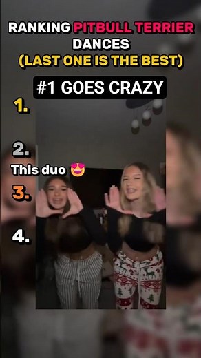 Top 5 Pitbull Terrier TikTok Dances 🔥🐶 (You Won’t Believe #1!) #shorts