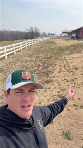 Get Rid of the Purple Flower Weeds