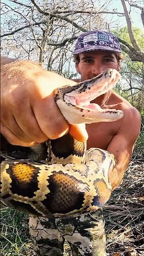 Catching GIANT SNAKES For Food: Survival Skills!