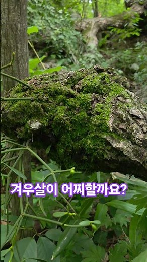 #Naturalist #Living in the wilderness #Hiking #Patience