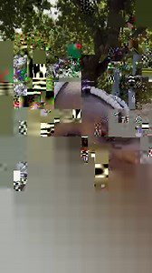 41K views · 1.4K reactions | Introducing the new Paris Polo. Inspired...