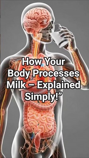 “How Your Body Processes Milk – Explained Simply!”#CraftedScience#MilkVideo#InsideTheBody#ScienceAni