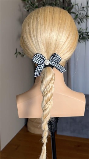 Twisted Braid idea ✨