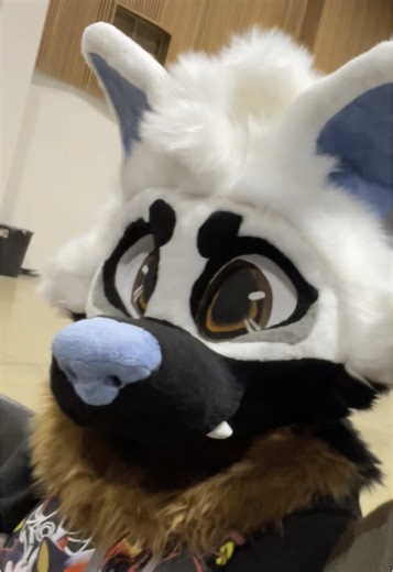 Experiencia en Toonfusion 2025: Cosplay y Fursuit