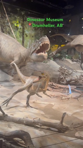 Dinosaur Museum in Drumheller, Alberta. #dinosaur #museum