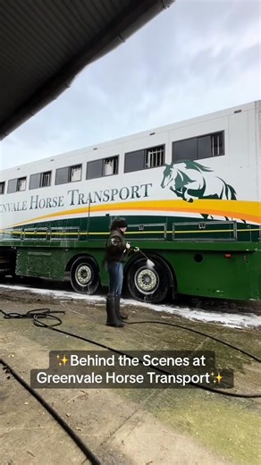 🚛🐴 Behind the Scenes at Greenvale Horse Transport 🧼✨ Whether we’re heading from Ireland to Belgium & Holland every Saturday or to the UK every Tuesday, we take pride in being fully prepared and organised for every journey. Here’s a little insight into what goes on daily at Greenvale Horse Transport: ✔️ Washing and disinfecting all vehicles with Virkon Disinfectant ✔️ Ensuring a clean, safe, and comfortable environment ✔️ Prepping for smooth, stress-free journeys for every horse onboard 📅 Nex